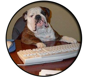 dog at work