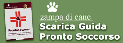 Scarica la Guida al Pronto Soccorso per i cani