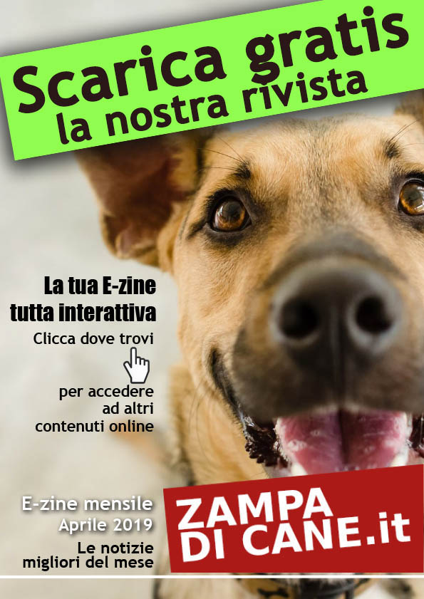 E-zine rivista online zampadicane.it