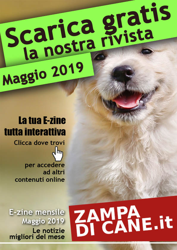 E-zine, rivista mensile del sito Zampa di cane
